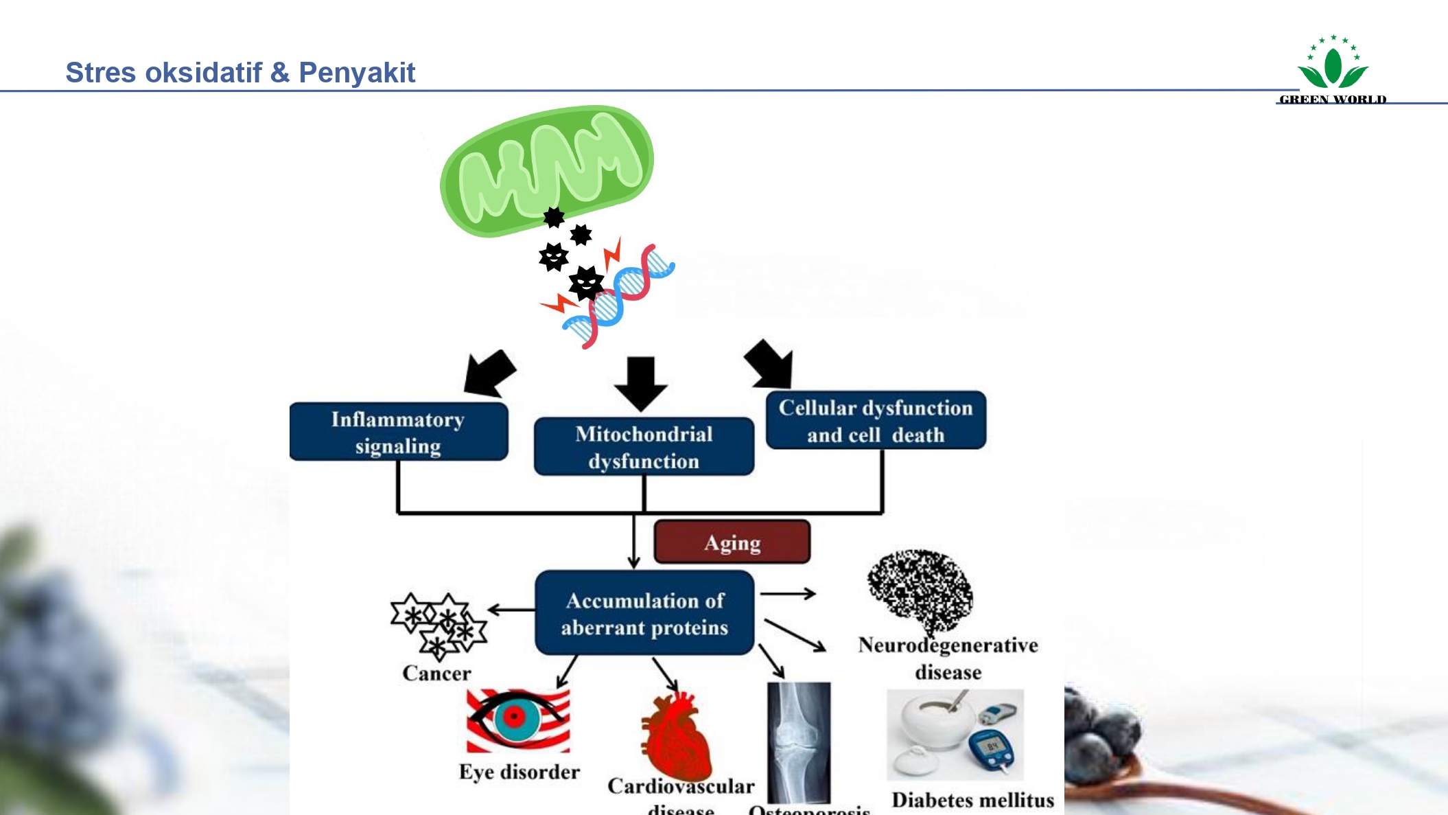 Education content image